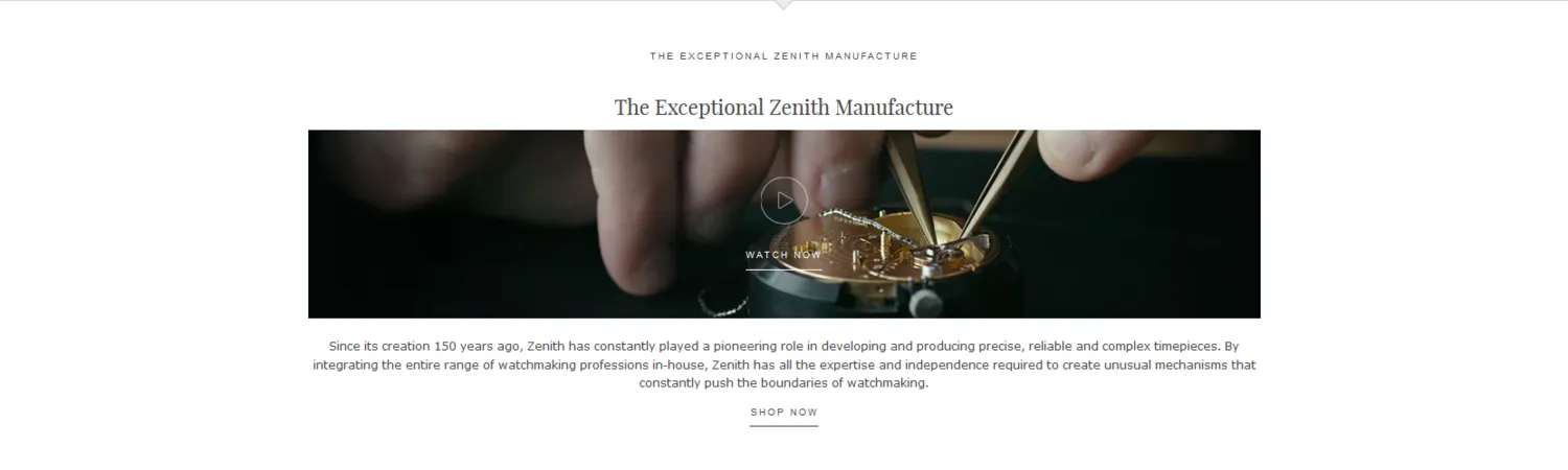 Sample Copy from Zenith Brand content page